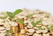 Cara Investasi Saham di Bibit dengan Mudah