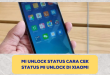 MI Unlock Status