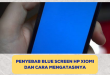 Blue Screen Hp