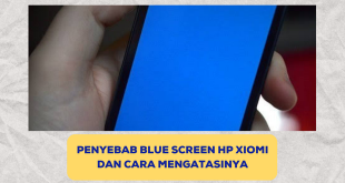 Blue Screen Hp