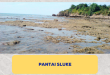 Pantai Sluke