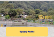 Tlogo Putri